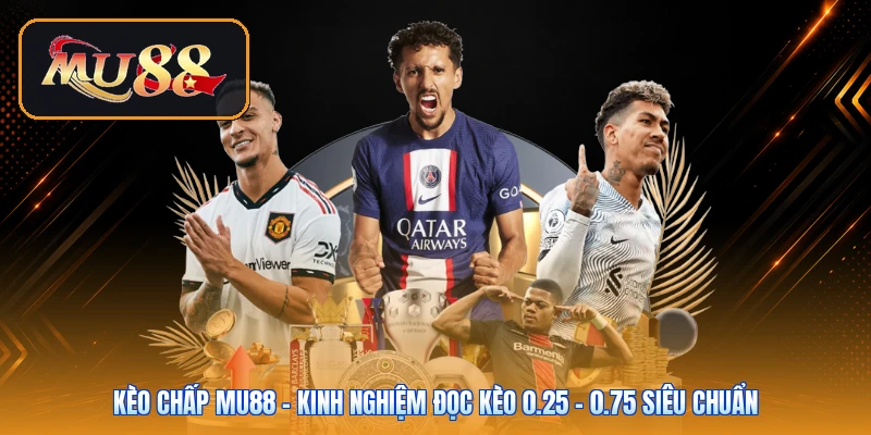 Kèo Chấp Mu88 | Kinh Nghiệm Đọc Kèo 0.25 - 0.75 Siêu Chuẩn